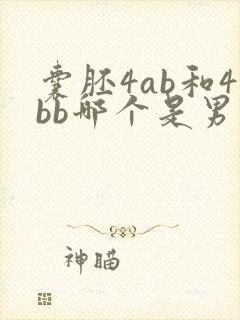 囊胚4ab和4bb哪个是男孩女孩