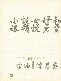 小说女婿和丈母娘赵悦免费阅读