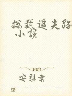 总裁追夫路漫漫 小说