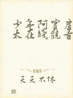 少年阿宾房东太太在线观看