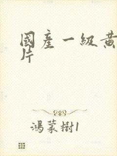 国产一级黄色淫片