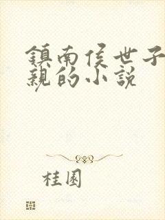 镇南侯世子娶错亲的小说