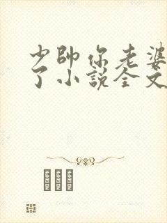 少帅你老婆又跑了小说全文免费阅读封面