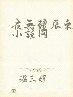 夜无疆辰东顶点小说网封面