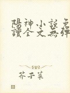 阳神小说免费阅读全文无弹窗
