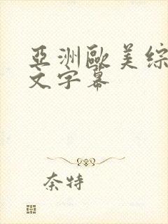 亚洲欧美综合中文字幕