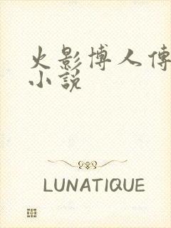 火影博人传后宫小说