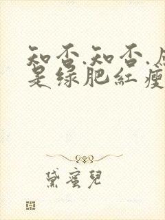 知否.知否.应是绿肥红瘦剧情介绍封面