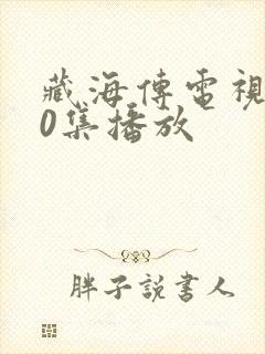 藏海传电视剧40集播放封面