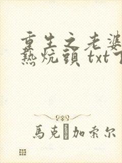 重生之老婆孩子热炕头 txt下载