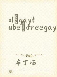 xl–gaytube–freegay男