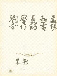 刘学义和孟子义合作的电视剧