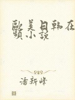 欧美日韩在线视频小说