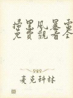 扫黑风暴电视剧免费观看全集完整版