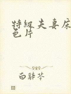 特级夫妻床上黄色片