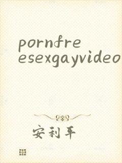 pornfreesexgayvideo封面