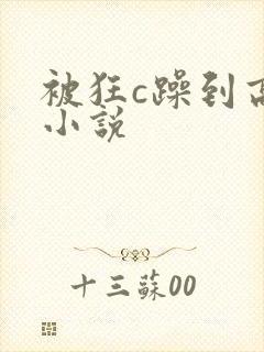 被狂c躁到高潮小说