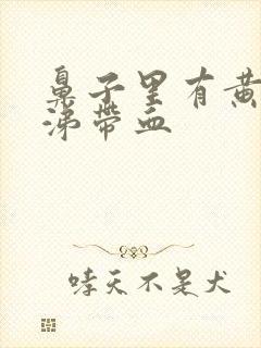 鼻子里有黄稠鼻涕带血