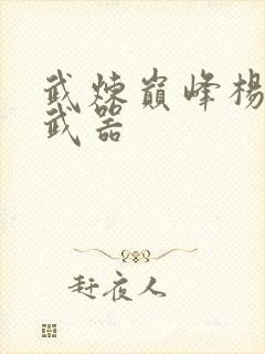 武炼巅峰杨开的武器