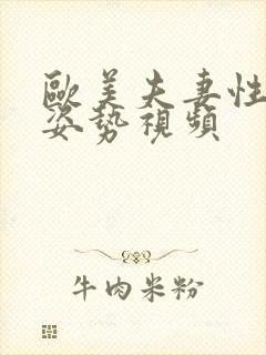 欧美夫妻性生活姿势视频