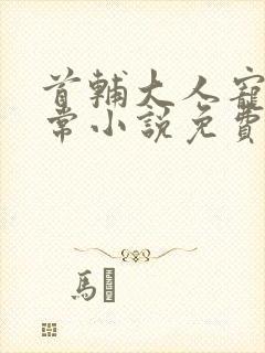 首辅大人宠妻日常小说免费阅读