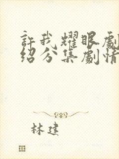 许我耀眼剧情介绍分集剧情介绍