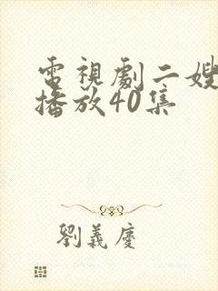 电视剧二嫂全集播放40集