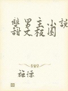 双男主小说推荐甜文校园