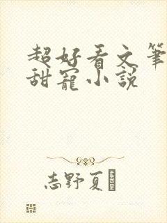 超好看文笔好的甜宠小说封面