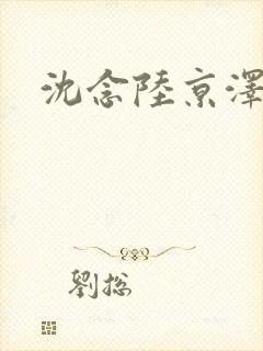 沈念陆京泽全文