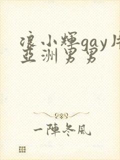 浪小辉gay片亚洲男男