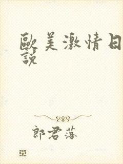 欧美激情日韩小说封面