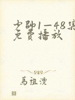 少帅1—48集免费播放