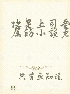 攻是上司受是下属的小说免费阅读