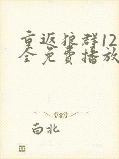 重返狼群12集全免费播放