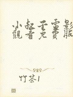 小叔子电影在线观看免费版高清封面