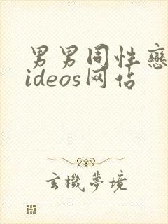 男男同性恋者videos网站