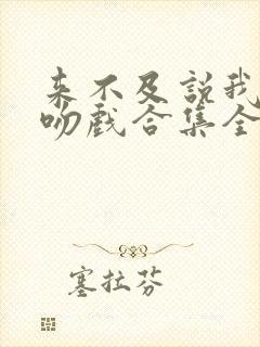 来不及说我爱你吻戏合集全部视频封面