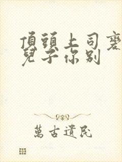 顶头上司变后妈儿子你别封面