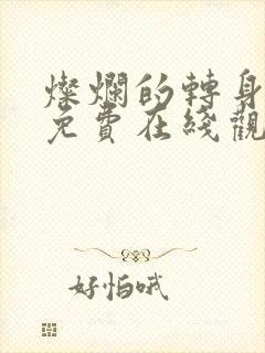 灿烂的转身全集免费在线观看