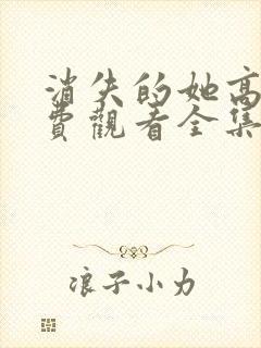 消失的她高清免费观看全集电视剧