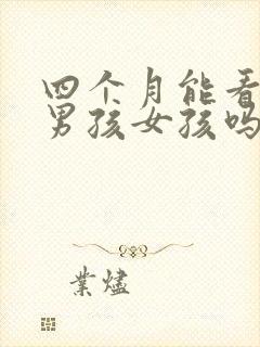 四个月能看出来男孩女孩吗