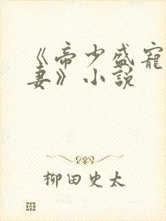 《帝少盛宠呆萌妻》小说封面