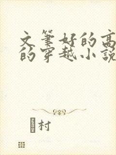 文笔好的高质量的穿越小说封面