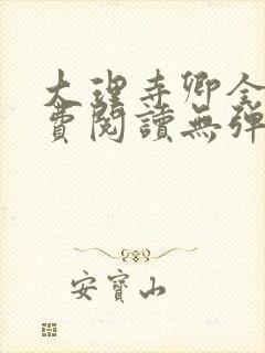 大理寺卿全文免费阅读无弹窗po