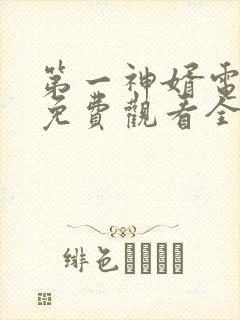 第一神婿电视剧免费观看全集高清