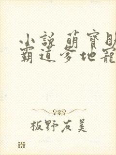 小说 萌宝助攻霸道爹地宠又撩