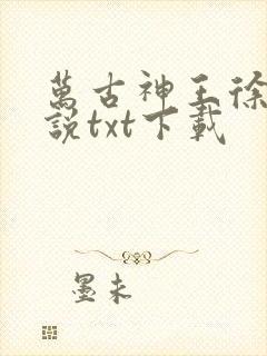 万古神王徐寒小说txt下载