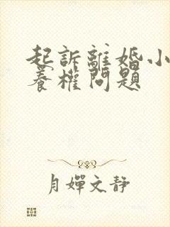 起诉离婚小孩抚养权问题封面