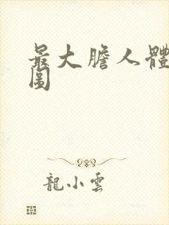 最大胆人体艺术图